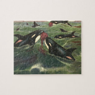 Schwertwale und Orcas, Vintage Meeressäuger Puzzle