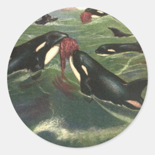 Schwertwale und Orcas, Vintage Meeressäuger Runder Aufkleber