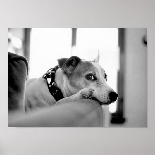 Schwerwiegende Augenpartien. Poster (Vorne)