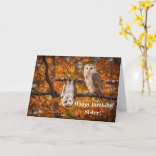 Schwester Alles Gute zum Geburtstag Humor Lustig m Karte