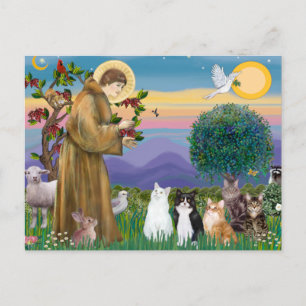 Schwester Frances segnet 5 Katzen Postkarte