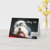 SCHWESTER I BIN **HANGIN' OUT TO SAGE FAPPY BIRTHD KARTE (Gelbe Blume)