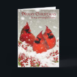 Schwester, Öl malte rote Kardinäle in der Feiertagskarte<br><div class="desc">Öl drei malte rote Kardinäle auf einer schneebedeckten Niederlassung voll von den Beeren</div>