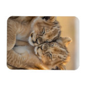 Schwestern der Savanna Magnet (Horizontal)
