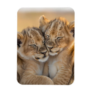 Schwestern der Savanna Magnet