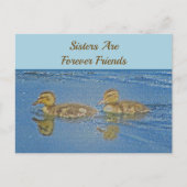 Schwestern Forever Friends Ducklings Mosaik Geschw Postkarte (Vorderseite)