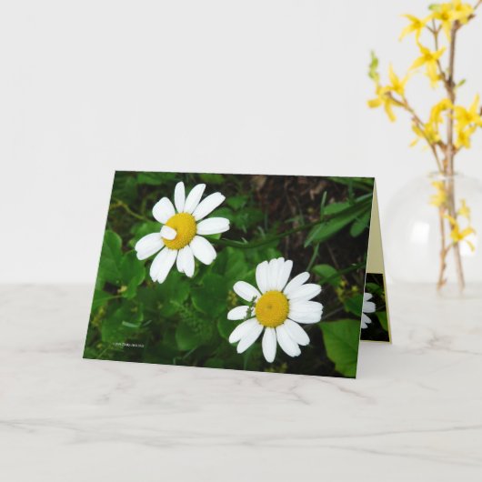 Schwestern Karte (Gelbe Blume)