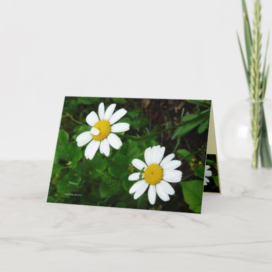 Schwestern Karte (Vorderseite)