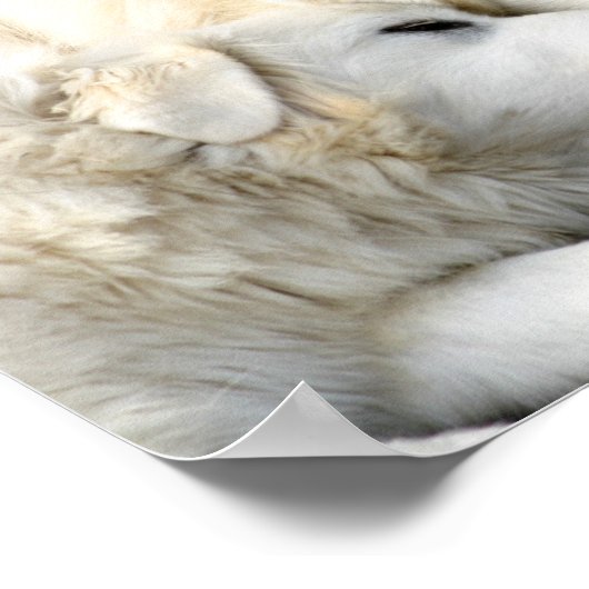 Schwestern Poster (Ecke)