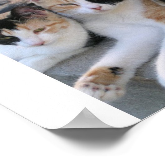 Schwestern Poster (Ecke)