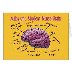 Schwesternschülerin-Geschenke