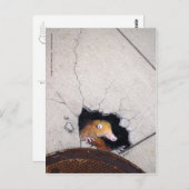 schwieriger Maulwurf Postkarte (Vorne/Hinten)
