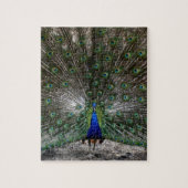 Schwieriger Puzzlespielgeschenkpfau versieht Puzzle (Vertikal)