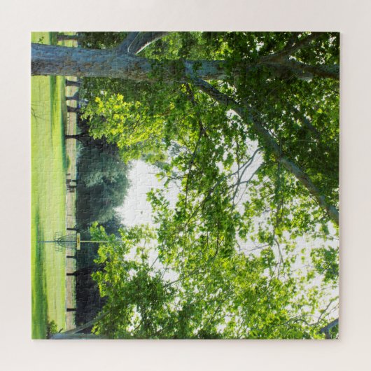 Schwieriges Disk Golf Puzzle (Horizontal)