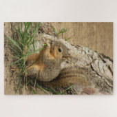 Schwieriges Eichhörnchen-Puzzle Puzzle (Horizontal)