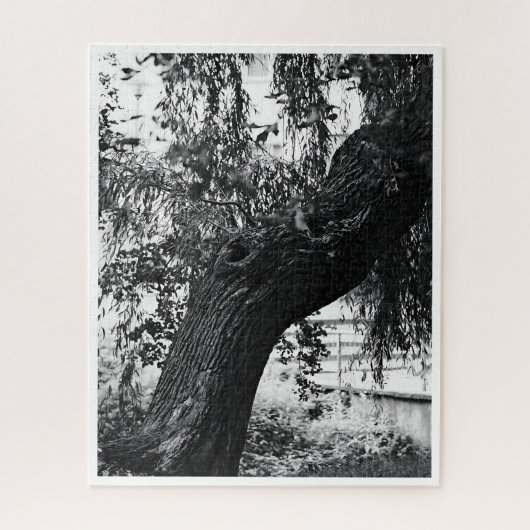 Schwieriges Monochrome Naturfotografie Puzzle (Vertikal)