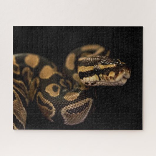 Schwieriges Schlangenpuzzle Puzzle (Horizontal)