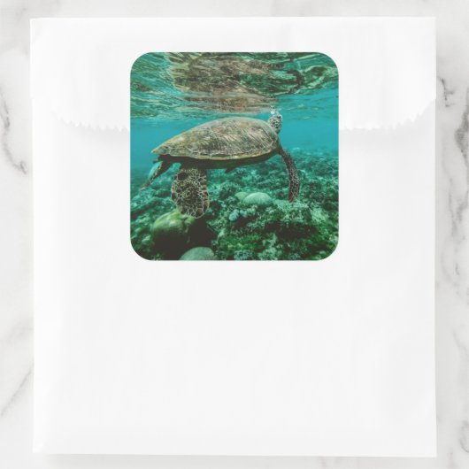 Schwimmaufkleber Quadratischer Aufkleber (Tasche)