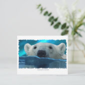 SCHWIMMBAR POSTKARTE (Stehend Vorderseite)