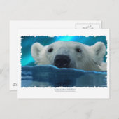 SCHWIMMBAR POSTKARTE (Vorne/Hinten)