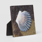 Schwimmbecken Fotoplatte (Vorderseite)