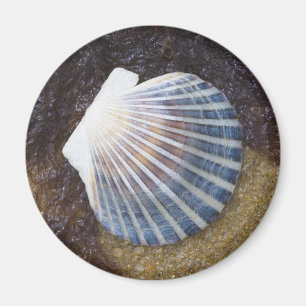 Schwimmbecken Magnet