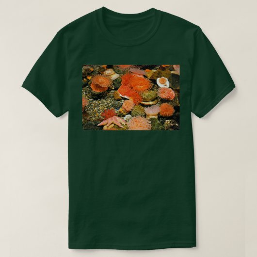 Schwimmbecken T-Shirt (Design vorne)