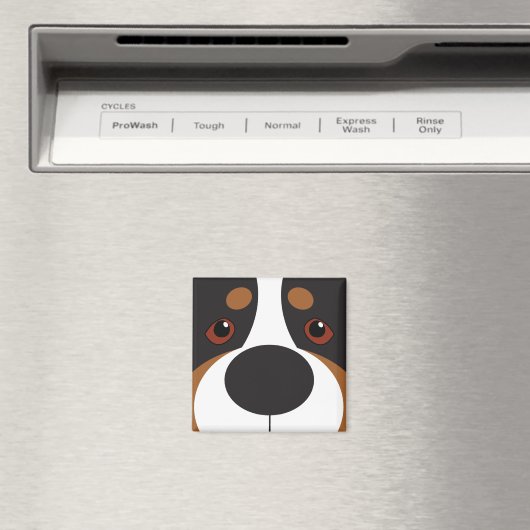 SCHWIMMBILDSCHIRM MAGNET (In Situ (Geschirrspüler))