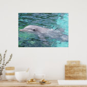 Schwimmdolphin Poster (Küche)