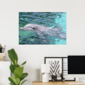 Schwimmdolphin Poster (Heimbüro)
