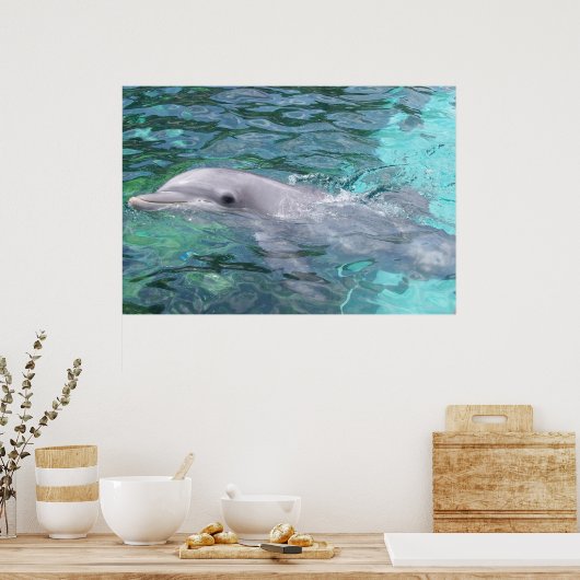 Schwimmdolphin Poster (Küche)