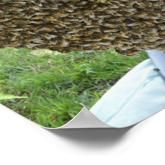 SCHWIMME DER BIES POSTER. Wäre ausgeflippt oder ve Poster (Ecke)