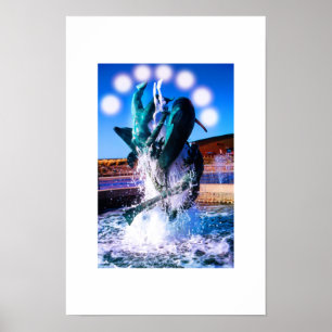 Schwimme mit Delphinbrunnen Poster