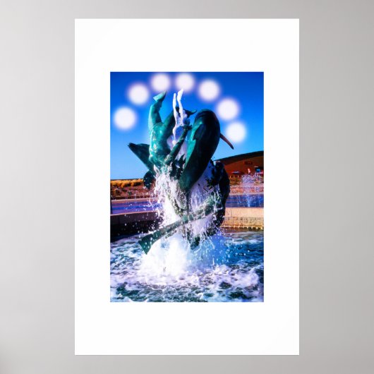 Schwimme mit Delphinbrunnen Poster (Vorne)