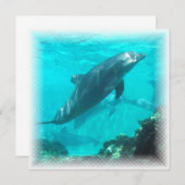 Schwimmen-Delphin-Einladung Einladung (Vorne/Hinten)