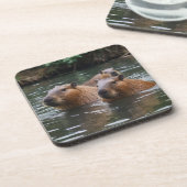 Schwimmen der Capybaras im Fluss,  Getränkeuntersetzer (Linke Seite)