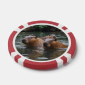 Schwimmen der Capybaras im Fluss, Pokerchips (Einzeln)