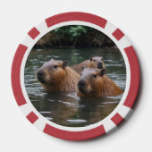 Schwimmen der Capybaras im Fluss, Pokerchips (Rückseite)