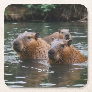 Schwimmen der Capybaras im Fluss, Rechteckiger Pappuntersetzer