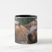 Schwimmen der Capybaras im Fluss, Tasse (Zentrum)