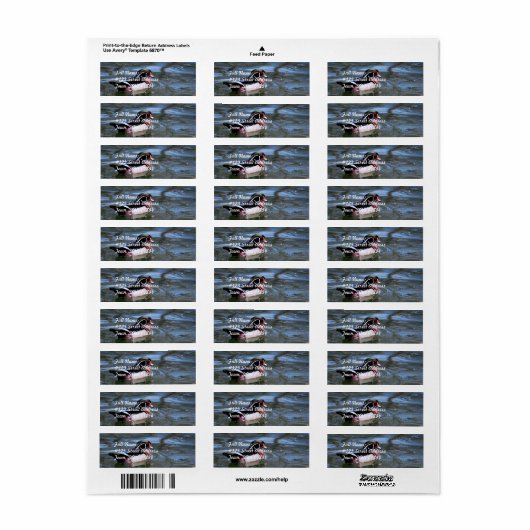 Schwimmen der Holzente (Vorne)