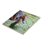 Schwimmen-Ente Fliese (Seite)