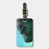 Schwimmen-Flusspferd-Gepäckanhänger Gepäckanhänger (Vorderseite vertikal)