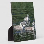 Schwimmen-Freunde Fotoplatte (Seite)