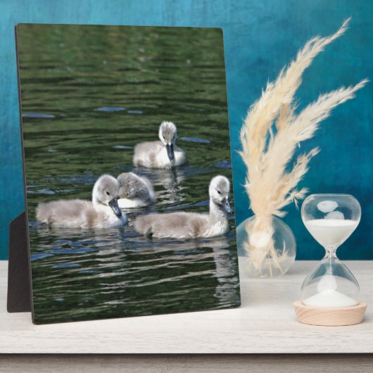 Schwimmen-Freunde Fotoplatte (Seite)