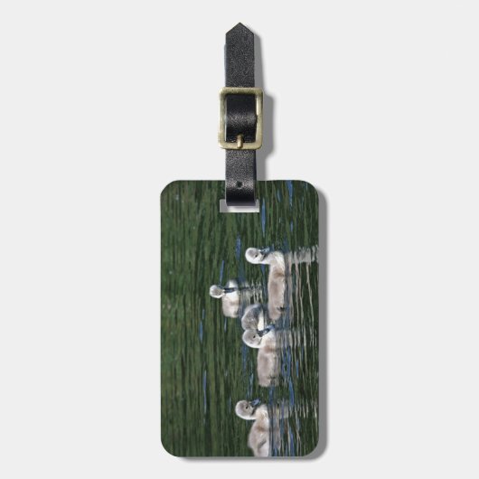 Schwimmen-Freunde Gepäckanhänger (Vorderseite vertikal)