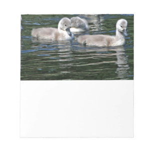 Schwimmen-Freunde Notizblock