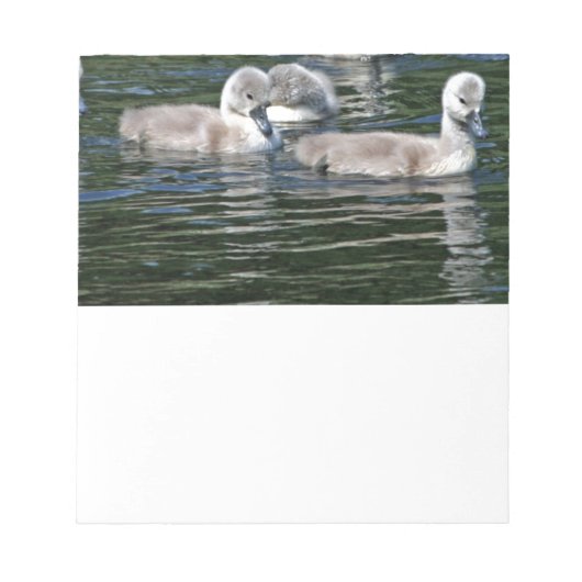 Schwimmen-Freunde Notizblock (Vorderseite)