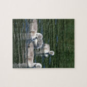 Schwimmen-Freunde Puzzle (Horizontal)