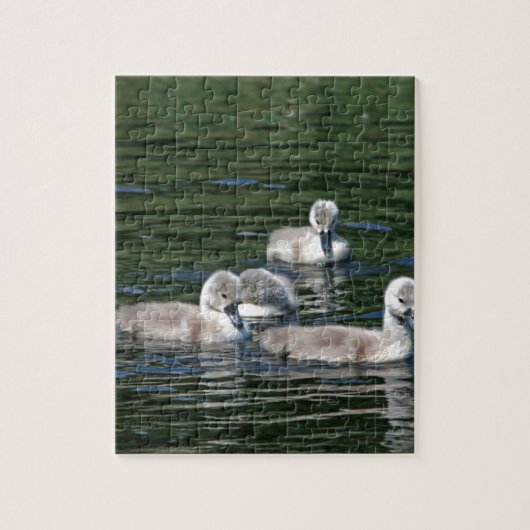Schwimmen-Freunde Puzzle (Vertikal)
